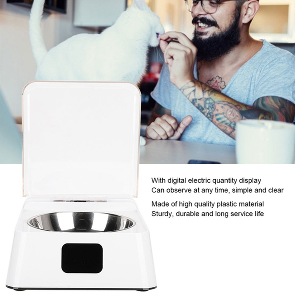 Timed & Voice Automatic Pet Feeder — view 5