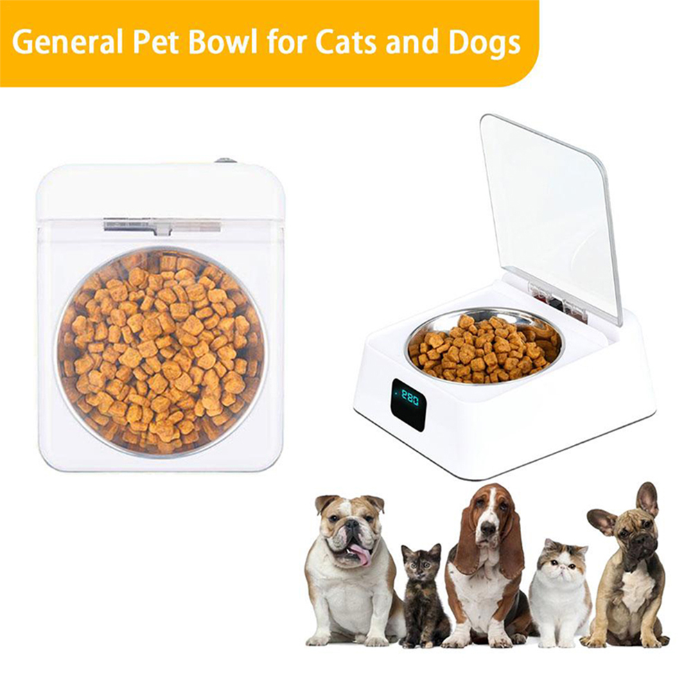 Timed & Voice Automatic Pet Feeder — view 6