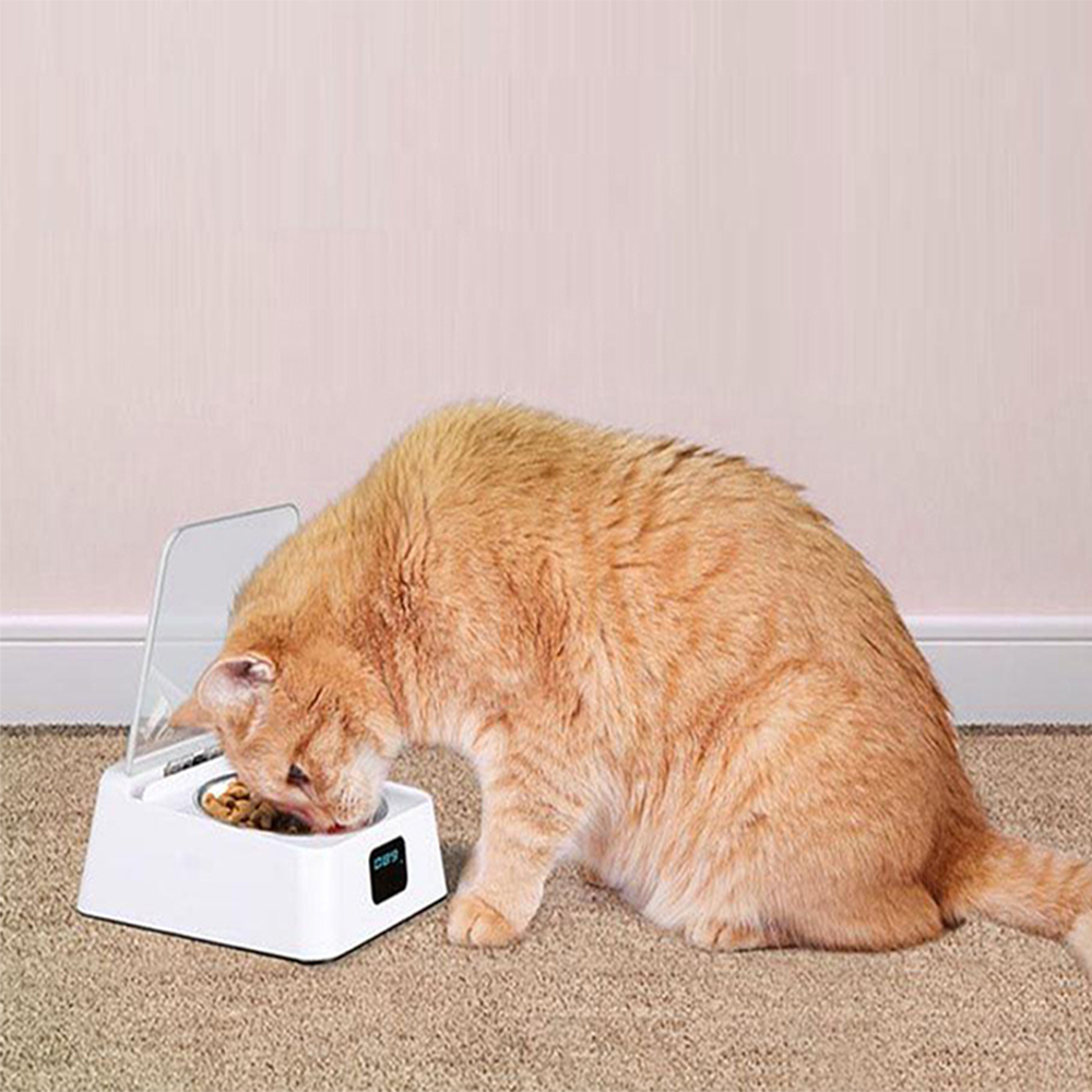 Timed & Voice Automatic Pet Feeder — view 3