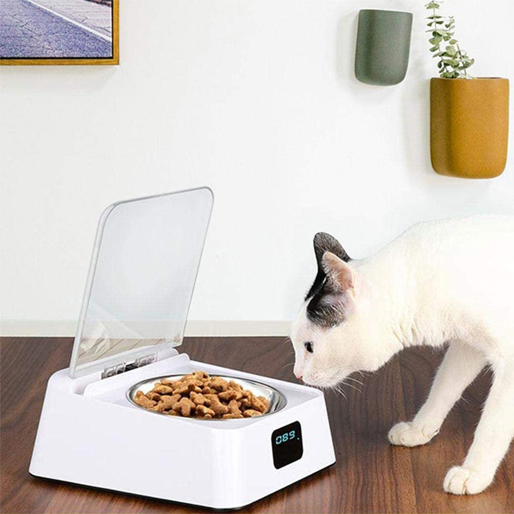 Timed & Voice Automatic Pet Feeder — view 2